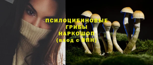 мяу мяу мука Богородицк