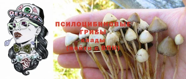 СК Богданович