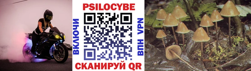 купить   Валуйки  Псилоцибиновые грибы GOLDEN TEACHER 